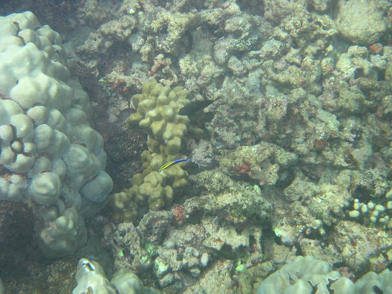 Picture 023